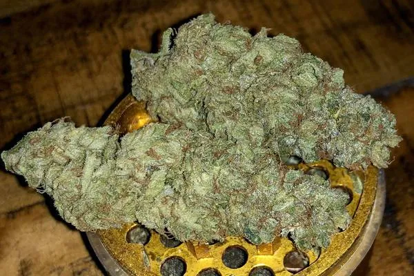 Green Crack - Sativa cannabis flower