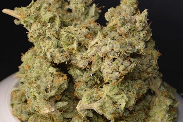 OG Kush - Hybrid