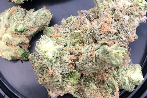 Zkittlez - Hybrid